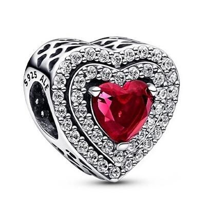 10PCS Promotion AAA GRADE S925 ALE Sterling Silver Charms