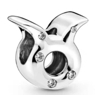 10PCS Promotion AAA GRADE S925 ALE Sterling Silver Charms