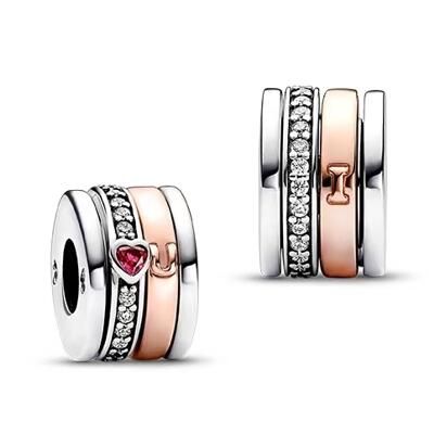 10PCS Promotion AAA GRADE S925 ALE Sterling Silver Charms