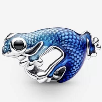 10PCS Promotion AAA GRADE S925 ALE Sterling Silver Charms