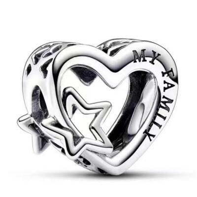 10PCS Promotion AAA GRADE S925 ALE Sterling Silver Charms