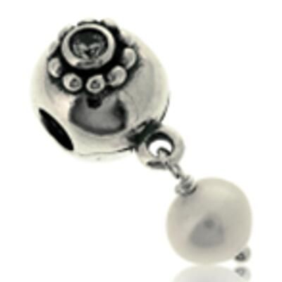 10PCS Promotion AAA GRADE S925 ALE Sterling Silver Charms