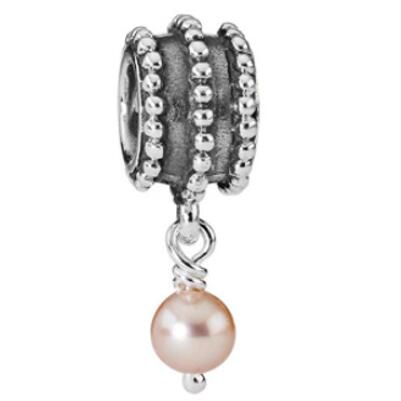 10PCS Promotion AAA GRADE S925 ALE Sterling Silver Charms