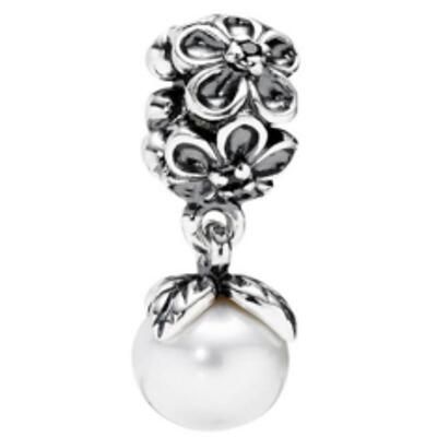 10PCS Promotion AAA GRADE S925 ALE Sterling Silver Charms