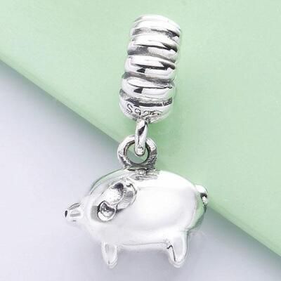 10PCS Promotion AAA GRADE S925 ALE Sterling Silver Charms