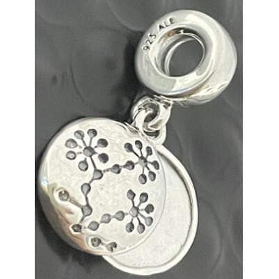 10PCS Promotion AAA GRADE S925 ALE Sterling Silver Charms