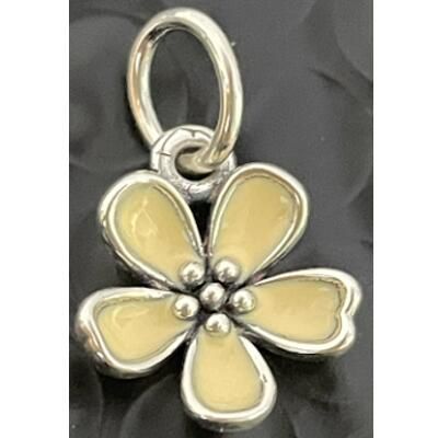 10PCS Promotion AAA GRADE S925 ALE Sterling Silver Charms