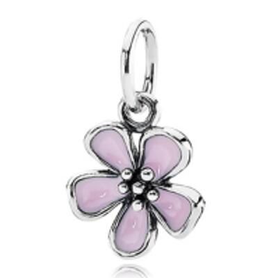 10PCS Promotion AAA GRADE S925 ALE Sterling Silver Charms