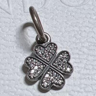 10PCS Promotion AAA GRADE S925 ALE Sterling Silver Charms