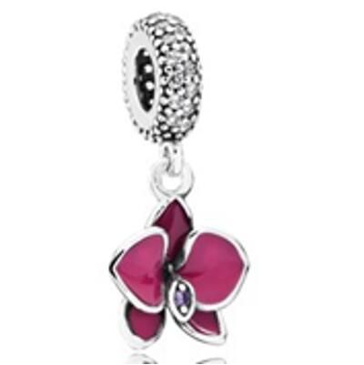 10PCS Promotion AAA GRADE S925 ALE Sterling Silver Charms