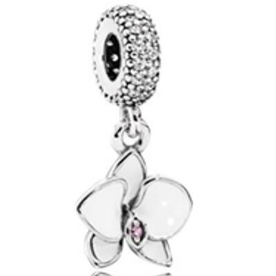 10PCS Promotion AAA GRADE S925 ALE Sterling Silver Charms