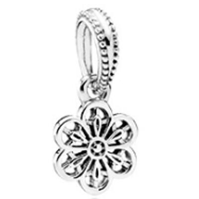 10PCS Promotion AAA GRADE S925 ALE Sterling Silver Charms