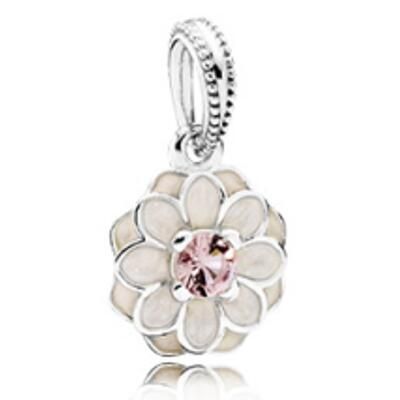 10PCS Promotion AAA GRADE S925 ALE Sterling Silver Charms