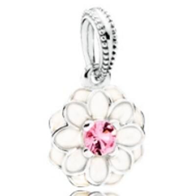 10PCS Promotion AAA GRADE S925 ALE Sterling Silver Charms
