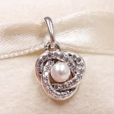 10PCS Promotion AAA GRADE S925 ALE Sterling Silver Charms