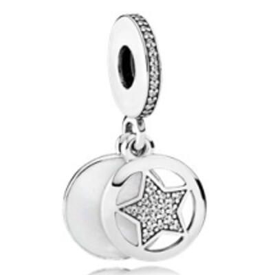 10PCS Promotion AAA GRADE S925 ALE Sterling Silver Charms