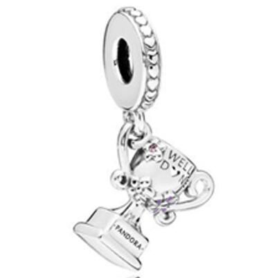 10PCS Promotion AAA GRADE S925 ALE Sterling Silver Charms