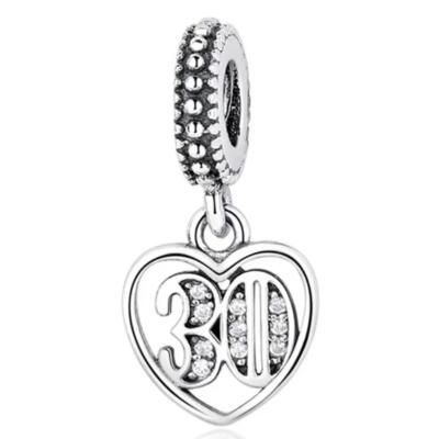 10PCS Promotion AAA GRADE S925 ALE Sterling Silver Charms