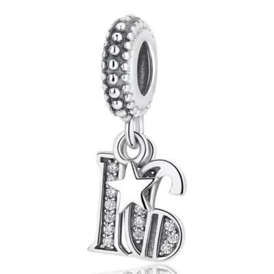 10PCS Promotion AAA GRADE S925 ALE Sterling Silver Charms