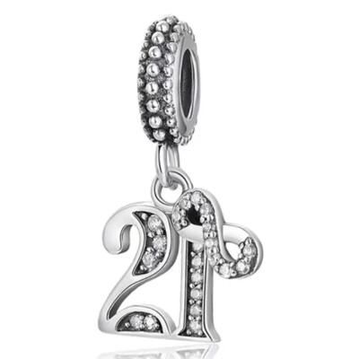 10PCS Promotion AAA GRADE S925 ALE Sterling Silver Charms