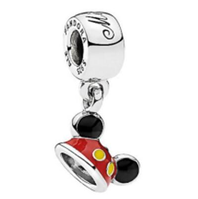 10PCS Promotion AAA GRADE S925 ALE Sterling Silver Charms