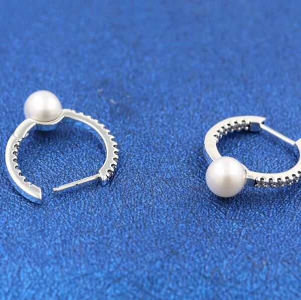 2024 NEW AAA GRADE S925 ALE Sterling Silver Earrings