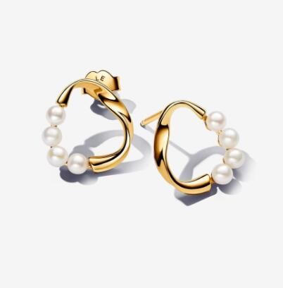 Promotion  1:1 COPY S925 ALE Sterling Silver Earrings