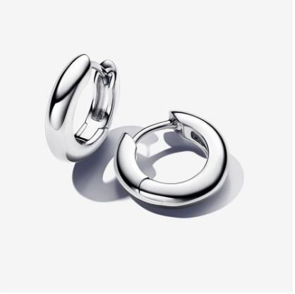 Promotion  1:1 COPY S925 ALE Sterling Silver Earrings