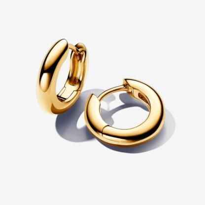 Promotion  1:1 COPY S925 ALE Sterling Silver Earrings