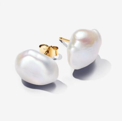 Promotion  1:1 COPY S925 ALE Sterling Silver Earrings