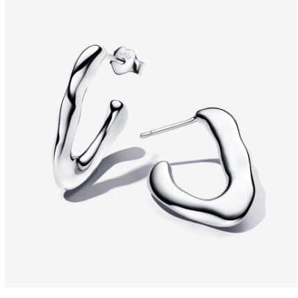 Promotion  1:1 COPY S925 ALE Sterling Silver Earrings