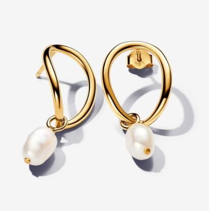 Promotion  1:1 COPY S925 ALE Sterling Silver Earrings