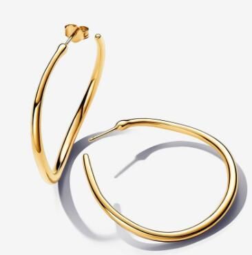 Promotion  1:1 COPY S925 ALE Sterling Silver Earrings