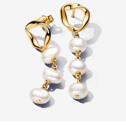 Promotion  1:1 COPY S925 ALE Sterling Silver Earrings