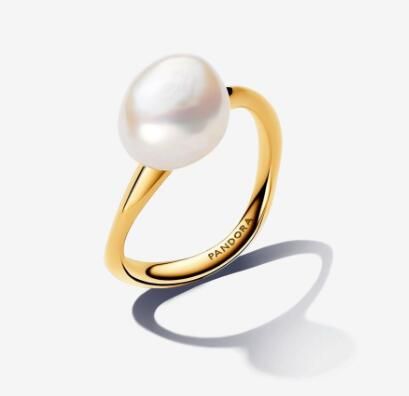 Promotion 1:1 COPY S925 ALE Sterling Silver Rings