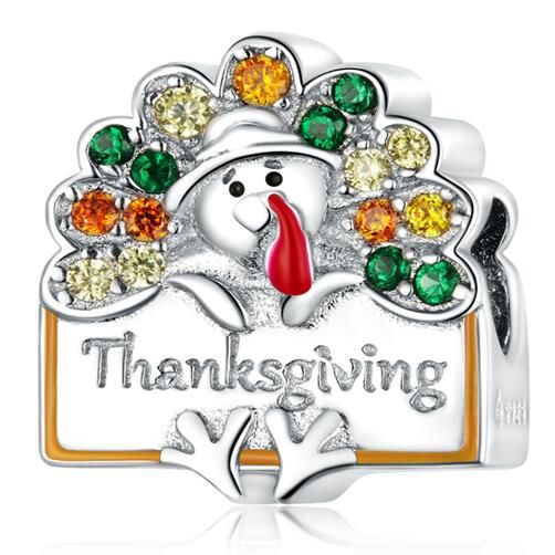 925 Sterling Silver Charms Beads