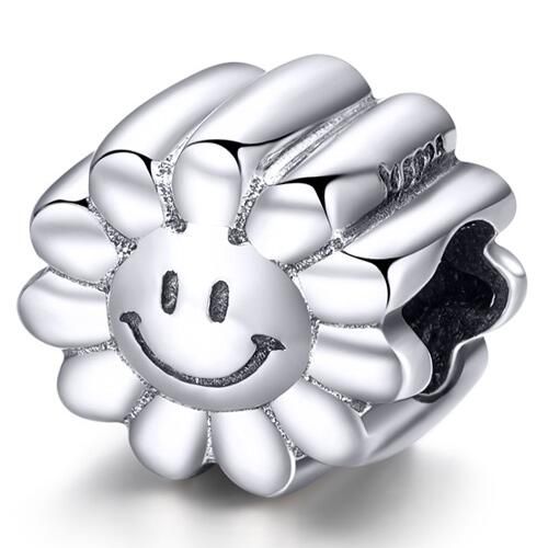 925 Sterling Silver Charms Beads