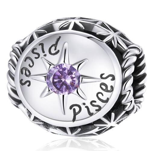 925 Sterling Silver Zodiac Charm