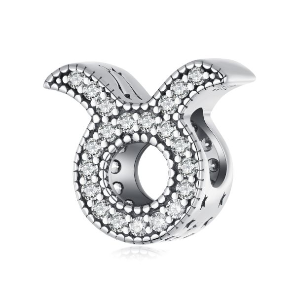925 Sterling Silver Zodiac Charm