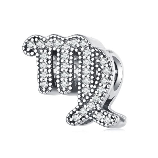 925 Sterling Silver Zodiac Charm