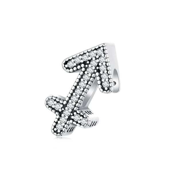 925 Sterling Silver Zodiac Charm