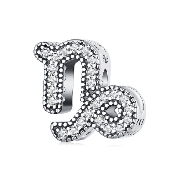 925 Sterling Silver Zodiac Charm
