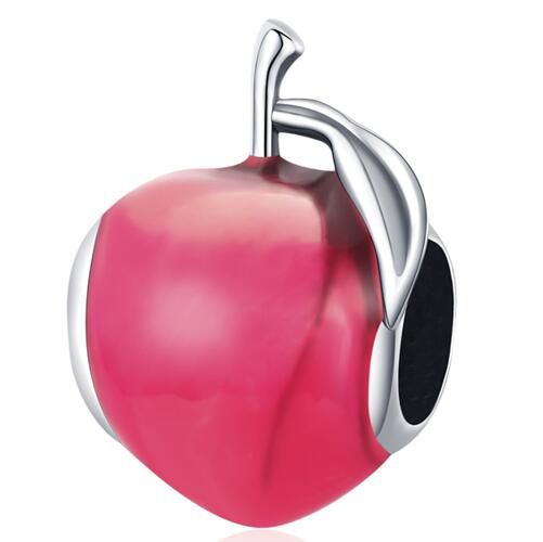 925 Sterling Silver Charm 