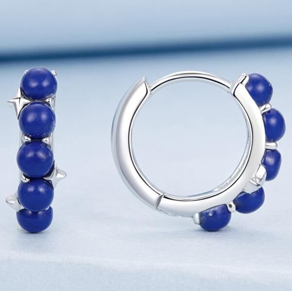 925 Sterling Silver Earrings