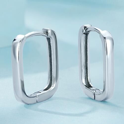925 Sterling Silver Fashion Earrings Jewelry