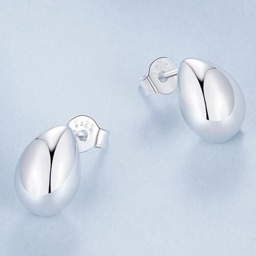 925 Sterling Silver Fashion Earrings Jewelry
