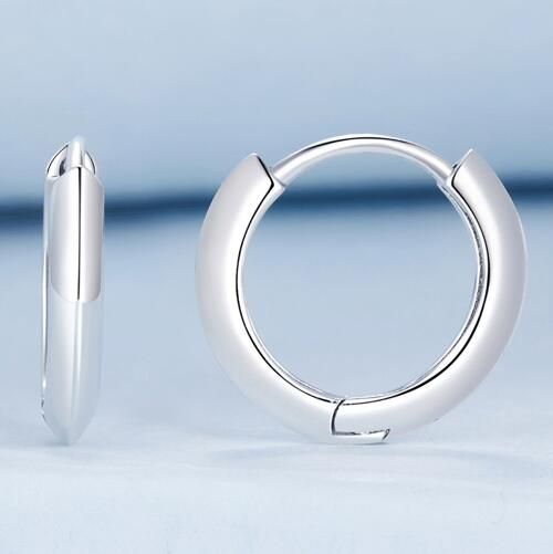 925 Sterling Silver Fashion Earrings Jewelry