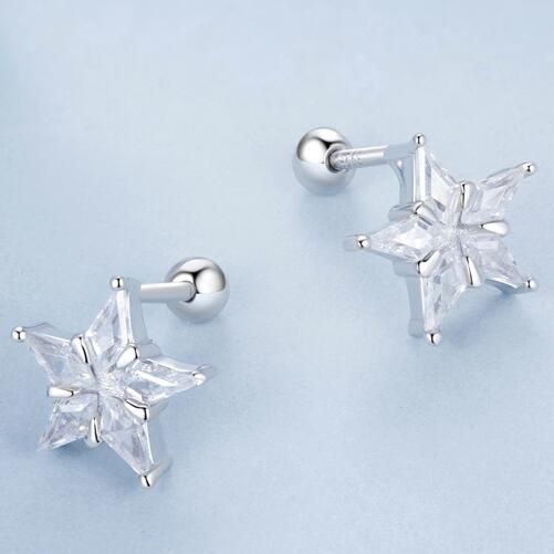 925 Sterling Silver Fashion Earrings Jewelry