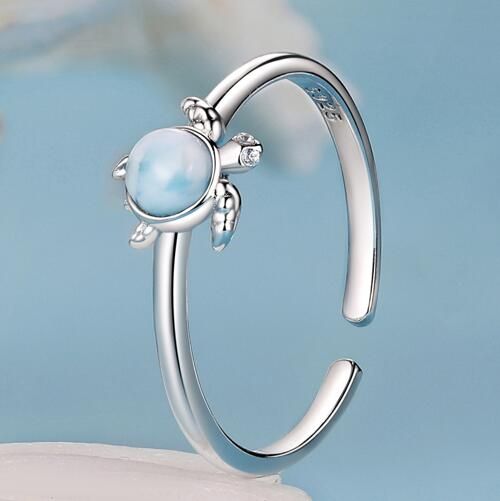925 Sterling Silver Ring