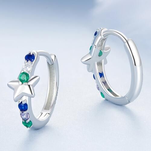 925 Sterling Silver Fashion Earrings Jewelry